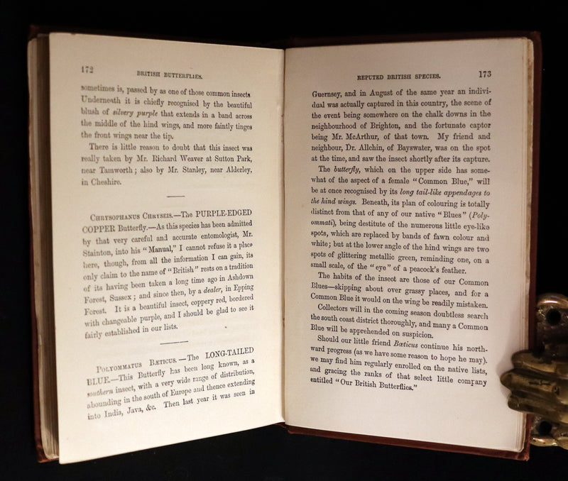 1860 Scarce Book - British Butterflies, Figures and Descriptions of Every Native Species by W. S. Coleman.