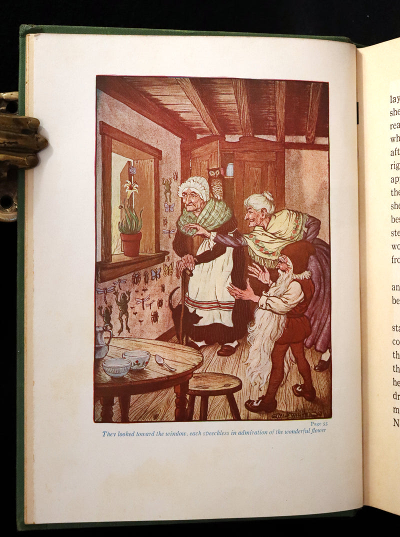 1932 Rare Book - Princess Goldenhair and the Wonderful Flower Illustrated by Milo Winter.