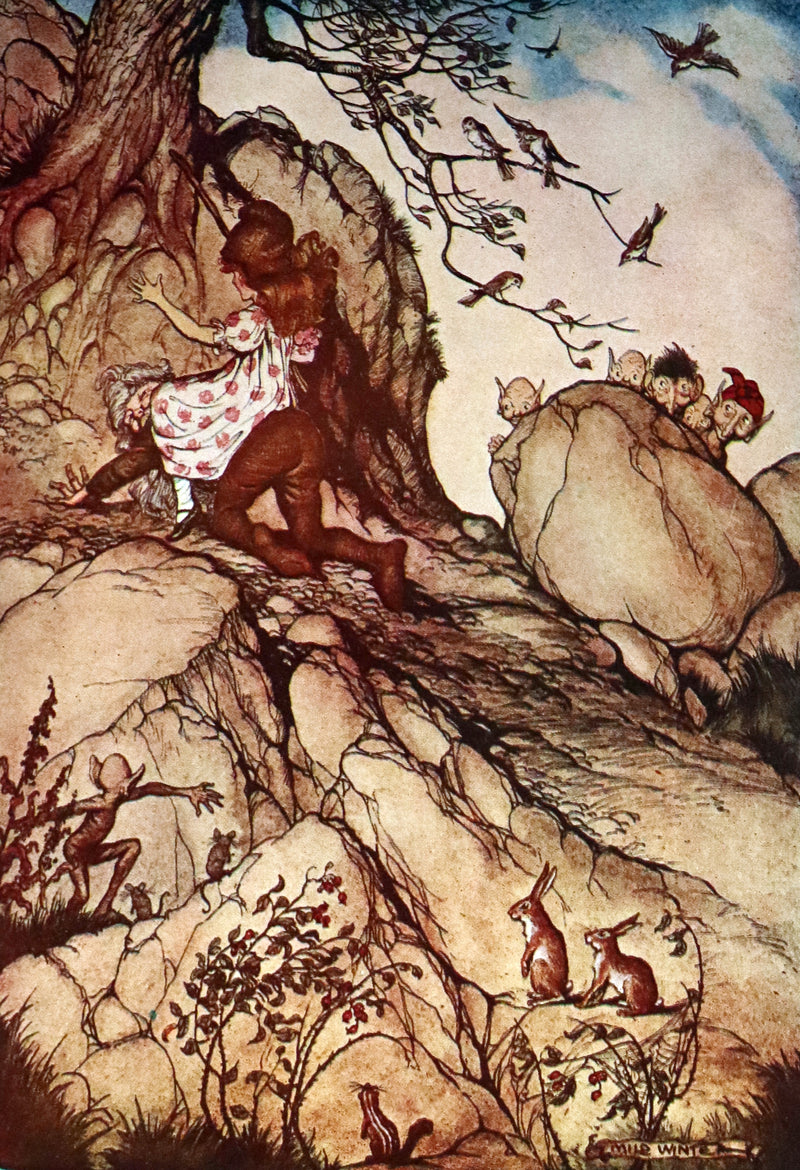 1932 Rare Book - Princess Goldenhair and the Wonderful Flower Illustrated by Milo Winter.