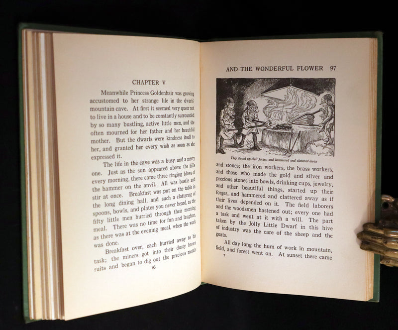 1932 Rare Book - Princess Goldenhair and the Wonderful Flower Illustrated by Milo Winter.