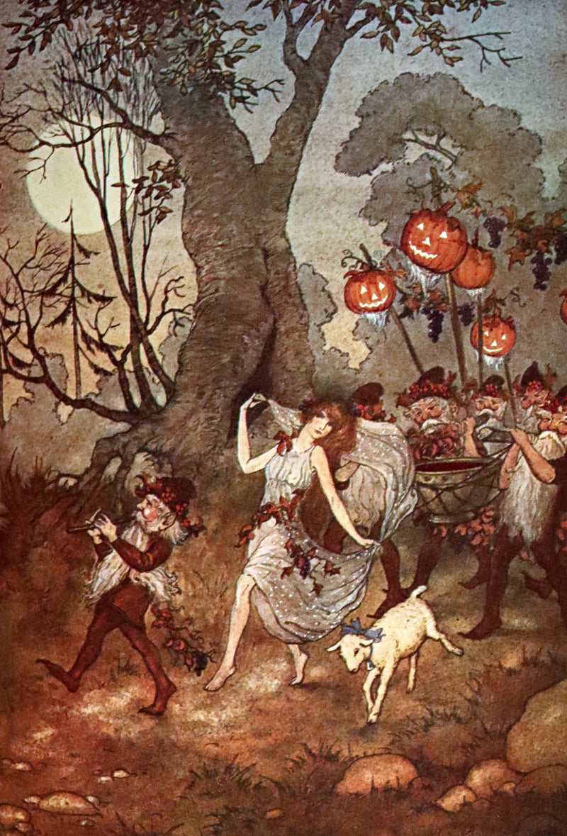 1932 Rare Book - Princess Goldenhair and the Wonderful Flower Illustrated by Milo Winter.