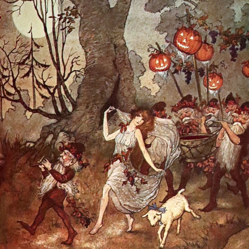 1932 Rare Book - Princess Goldenhair and the Wonderful Flower Illustrated by Milo Winter.