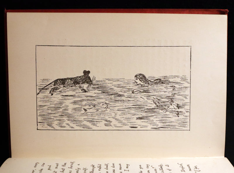 1886 Rare First Edition - Alice's Adventures Under Ground illustrated by Lewis Carroll.