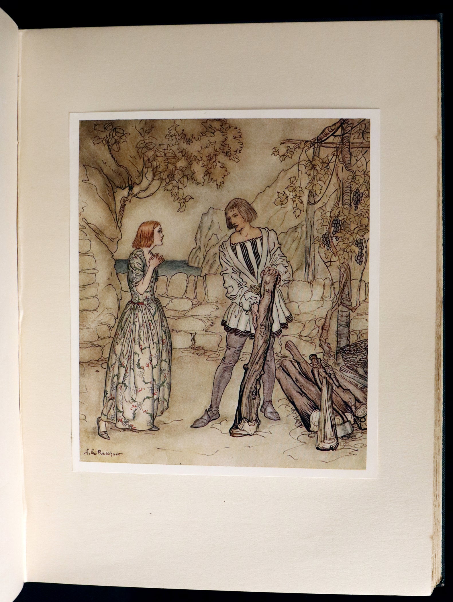 1926 Rare First Edition - THE TEMPEST by Shakespeare illustrated by ...