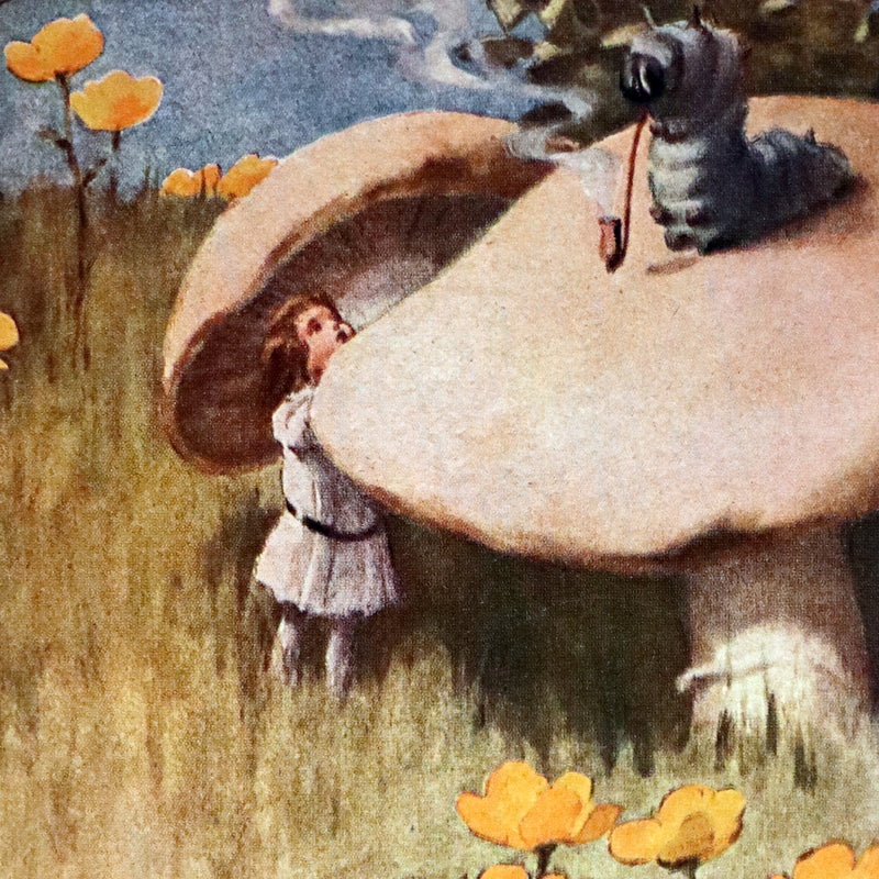 1907 Rare Book - Alice's Adventures in Wonderland Illustrated by Bessie Pease Gutmann. 1stED.