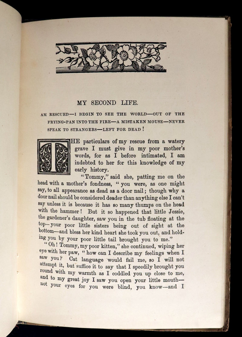 1890 Scarce First Edition - The Nine Lives of Mr. Thomas Puss-Cat by R. H. Lawrence Illustrated by A. Hitchcock.