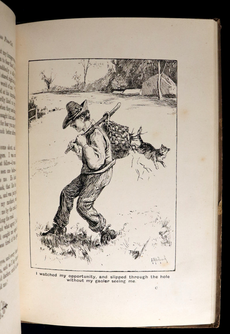 1890 Scarce First Edition - The Nine Lives of Mr. Thomas Puss-Cat by R. H. Lawrence Illustrated by A. Hitchcock.