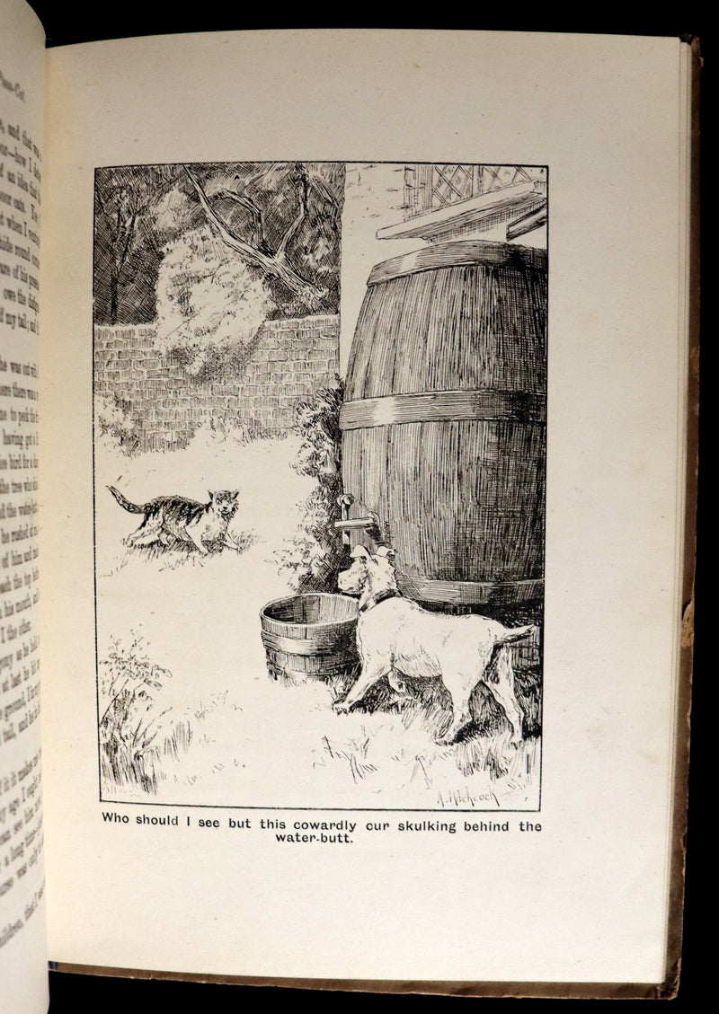 1890 Scarce First Edition - The Nine Lives of Mr. Thomas Puss-Cat by R. H. Lawrence Illustrated by A. Hitchcock.