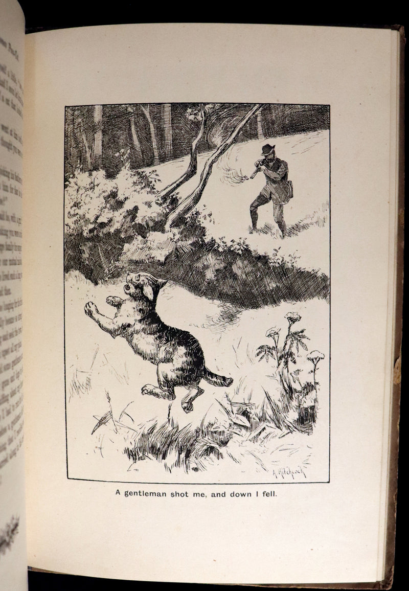 1890 Scarce First Edition - The Nine Lives of Mr. Thomas Puss-Cat by R. H. Lawrence Illustrated by A. Hitchcock.