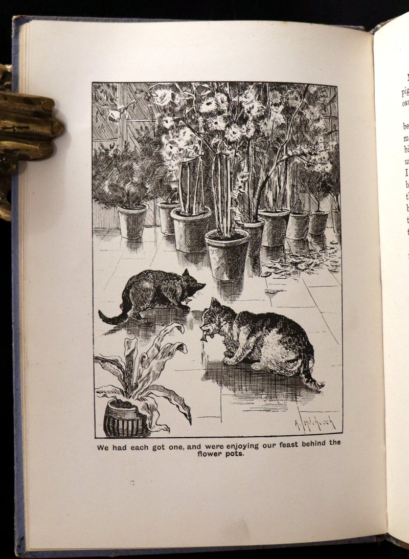 1890 Scarce First Edition - The Nine Lives of Mr. Thomas Puss-Cat by R. H. Lawrence Illustrated by A. Hitchcock.
