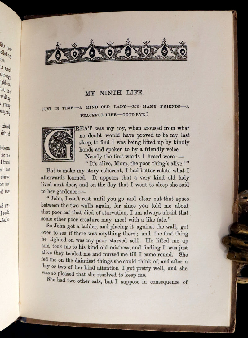 1890 Scarce First Edition - The Nine Lives of Mr. Thomas Puss-Cat by R. H. Lawrence Illustrated by A. Hitchcock.