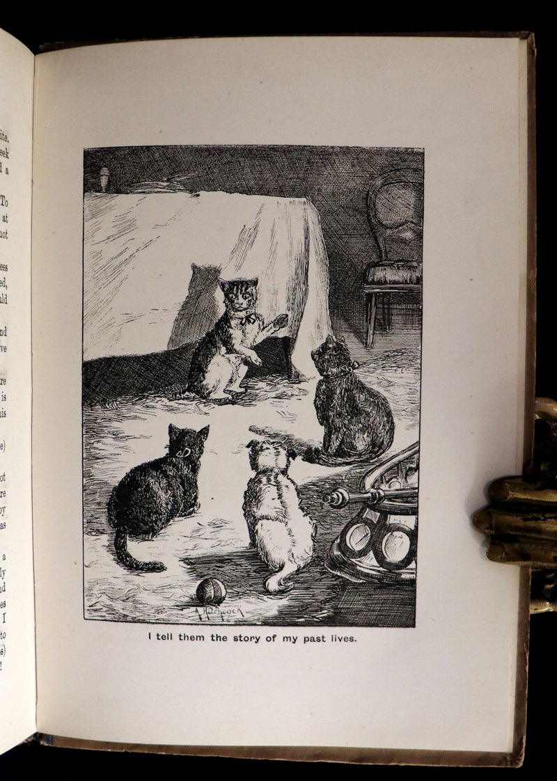 1890 Scarce First Edition - The Nine Lives of Mr. Thomas Puss-Cat by R. H. Lawrence Illustrated by A. Hitchcock.