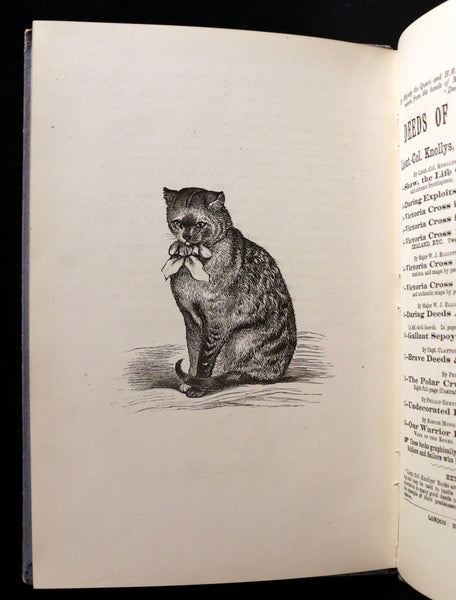 1890 Scarce First Edition - The Nine Lives of Mr. Thomas Puss-Cat by R. H. Lawrence Illustrated by A. Hitchcock.