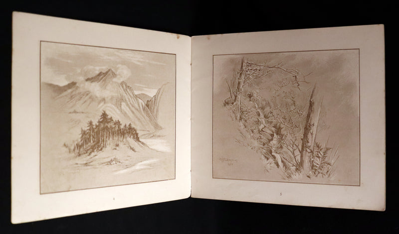 1883 Scarce Book - The FAIRIES – A Child’s Song by William Allingham Illustrated by E. Gertrude Thomson. 1stED.