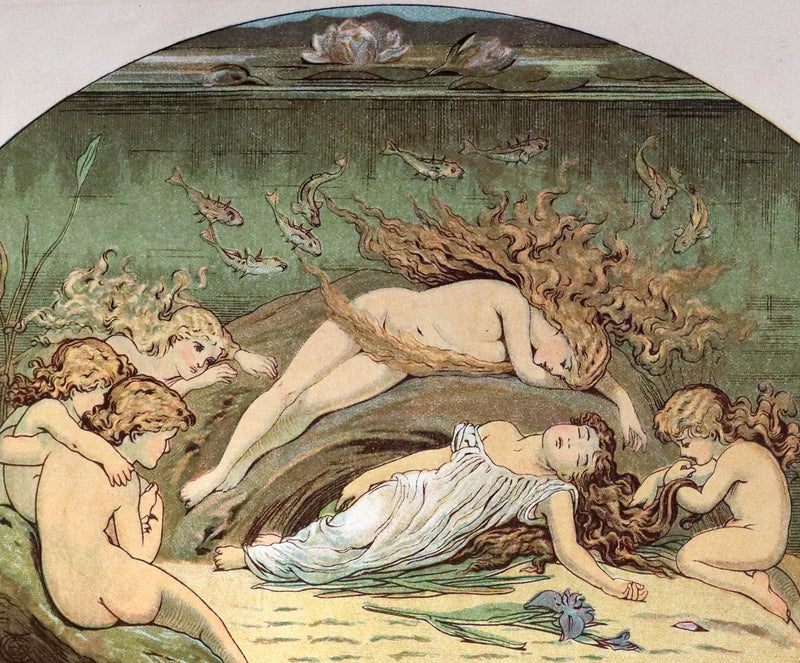 1883 Scarce Book - The FAIRIES – A Child’s Song by William Allingham Illustrated by E. Gertrude Thomson. 1stED.