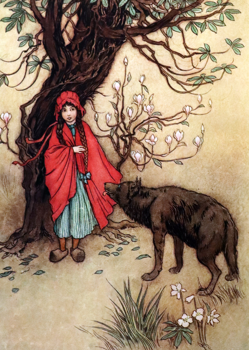 1913 Rare First Edition - THE FAIRY BOOK Illustrated in color by Warwick Goble.