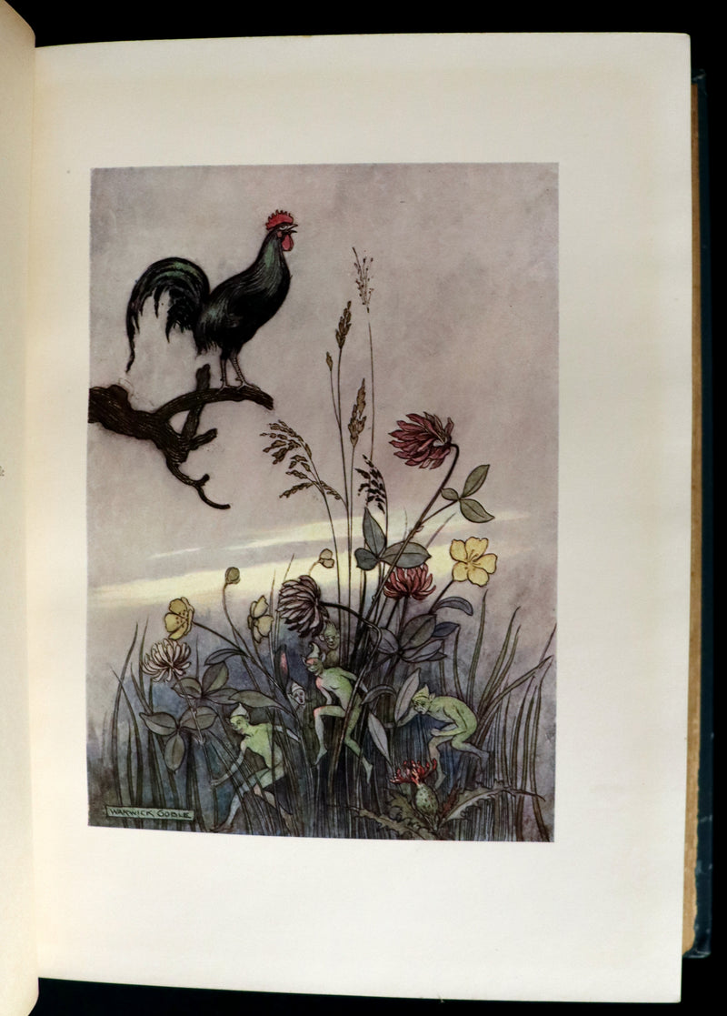 1913 Rare First Edition - THE FAIRY BOOK Illustrated in color by Warwick Goble.