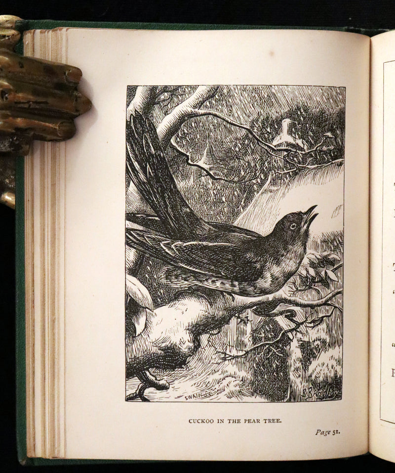 1867 Scarce 1stED - Pre -Raphaelite John Everett Millais signed letter - LILLIPUT LEVEE.
