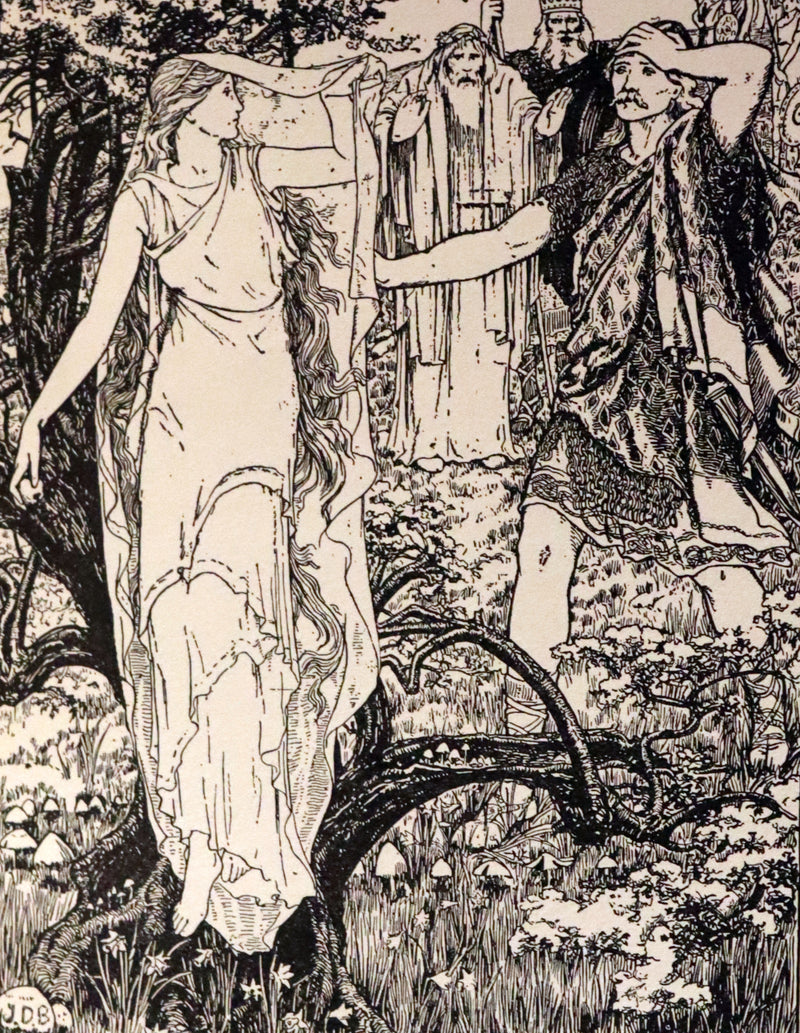 1890 Scarce Victorian Book - CELTIC Fairy Tales by Joseph Jacobs Illustrated by John D. Batten.