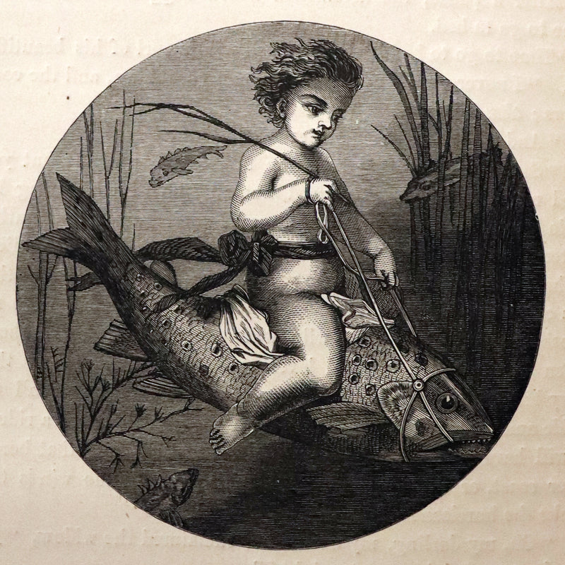 1866 Rare First Edition - The Prince of the Fair Family. A Fairy Tale by Anna Maria Hall.