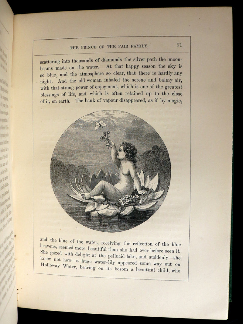 1866 Rare First Edition - The Prince of the Fair Family. A Fairy Tale by Anna Maria Hall.