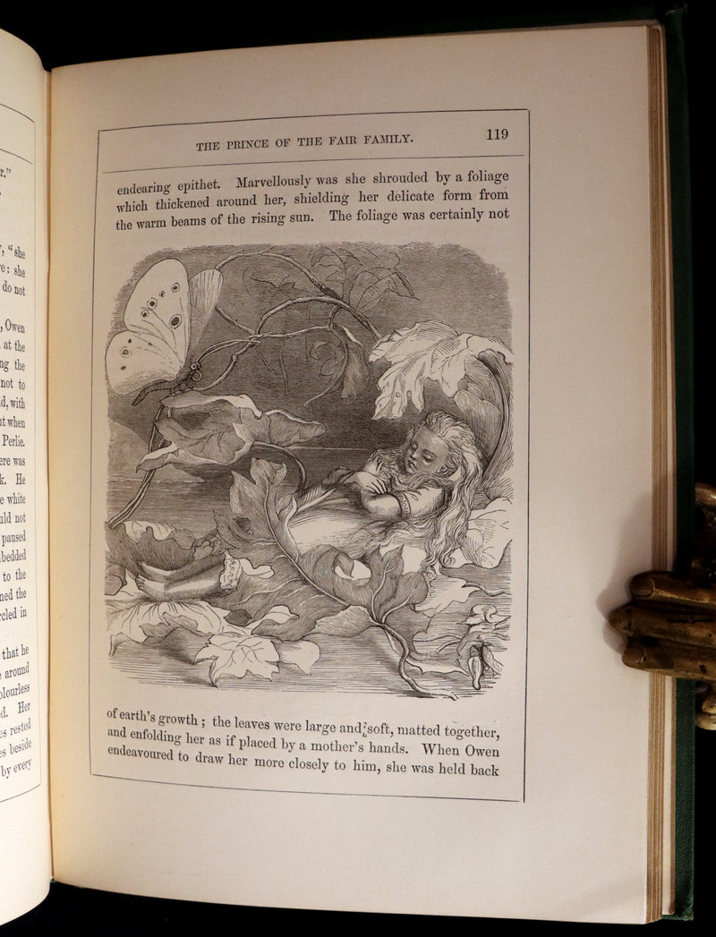 1866 Rare First Edition - The Prince of the Fair Family. A Fairy Tale by Anna Maria Hall.