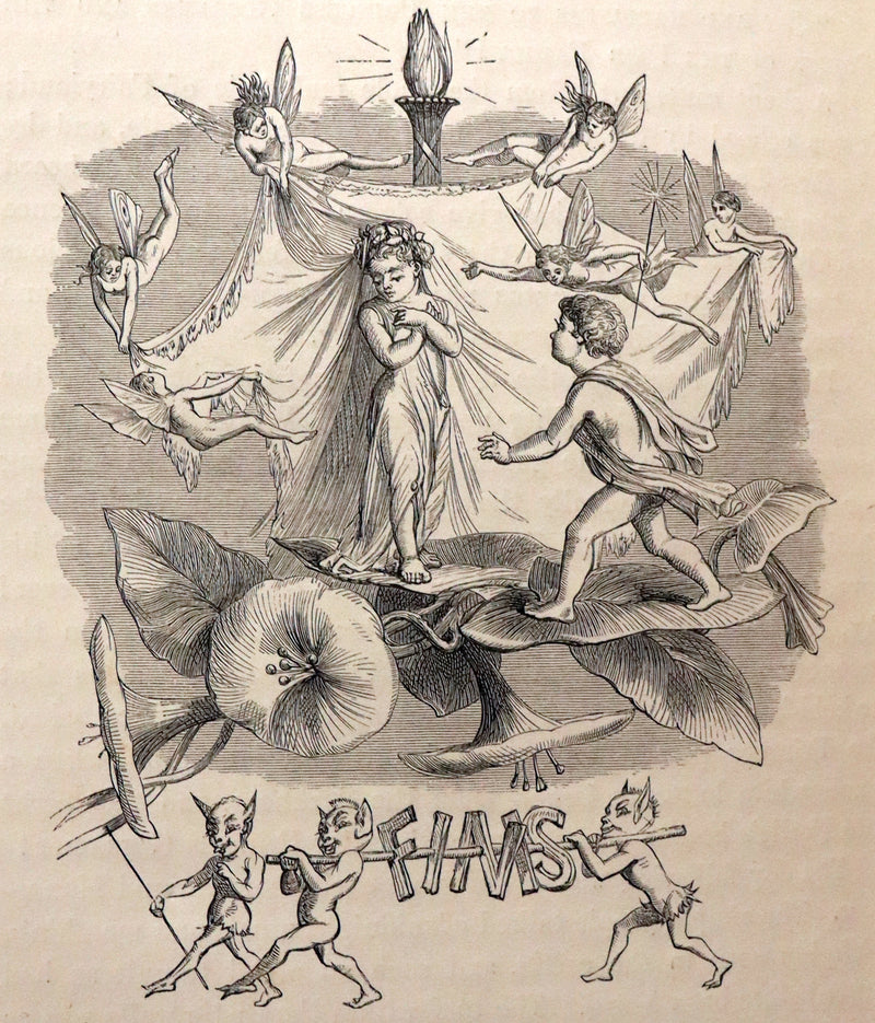 1866 Rare First Edition - The Prince of the Fair Family. A Fairy Tale by Anna Maria Hall.