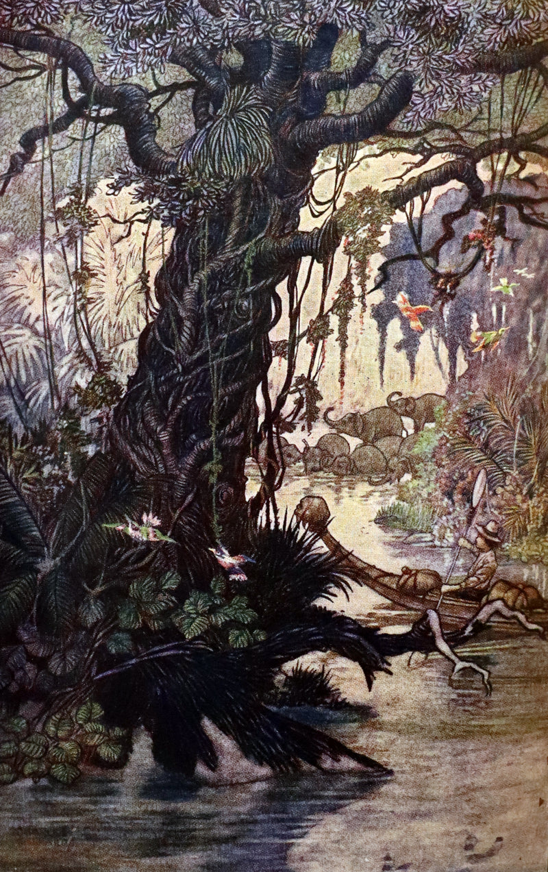 1972 Beautiful Book bound by Bayntun - The Swiss Family Robinson illustrated by Charles Folkard.