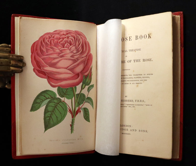 1864 Victorian Gardening First Edition - The Rose, A Practical Treatise on The Culture of The Rose by Shirley Hibberd.