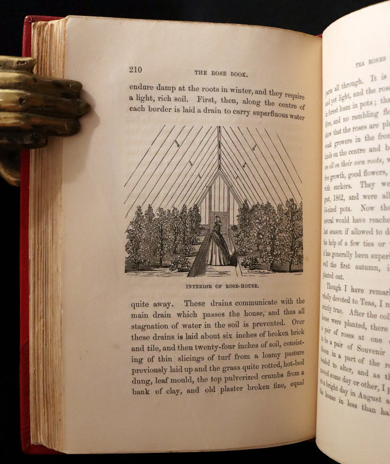 1864 Victorian Gardening First Edition - The Rose, A Practical Treatise on The Culture of The Rose by Shirley Hibberd.