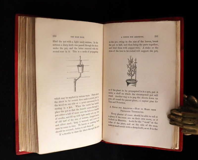 1864 Victorian Gardening First Edition - The Rose, A Practical Treatise on The Culture of The Rose by Shirley Hibberd.