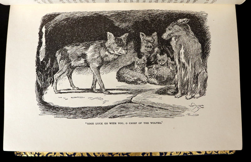 1959 Two books in a beautiful Bayntun binding - The Jungle Book & The Second Jungle Book by Rudyard Kipling. Illustrated.