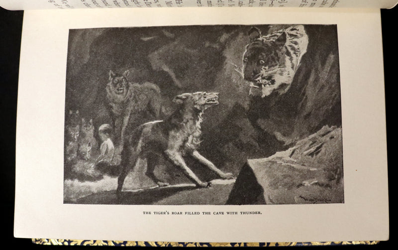 1959 Two books in a beautiful Bayntun binding - The Jungle Book & The Second Jungle Book by Rudyard Kipling. Illustrated.