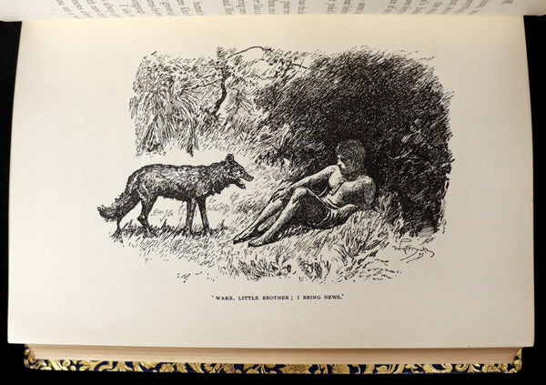 1959 Two books in a beautiful Bayntun binding - The Jungle Book & The Second Jungle Book by Rudyard Kipling. Illustrated.