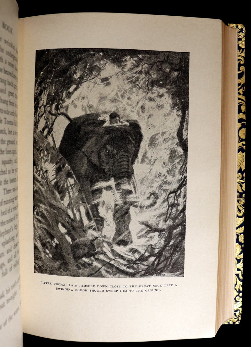 1959 Two books in a beautiful Bayntun binding - The Jungle Book & The Second Jungle Book by Rudyard Kipling. Illustrated.