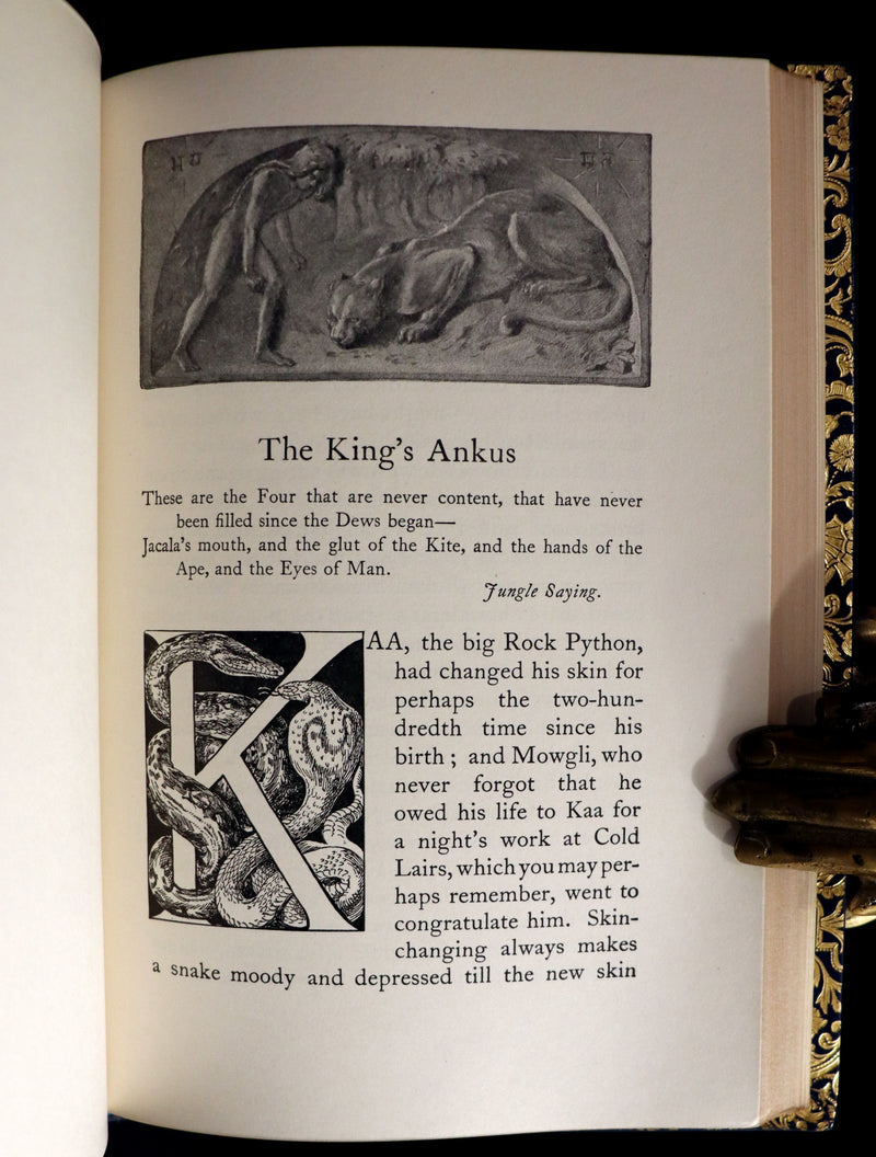 1959 Two books in a beautiful Bayntun binding - The Jungle Book & The Second Jungle Book by Rudyard Kipling. Illustrated.