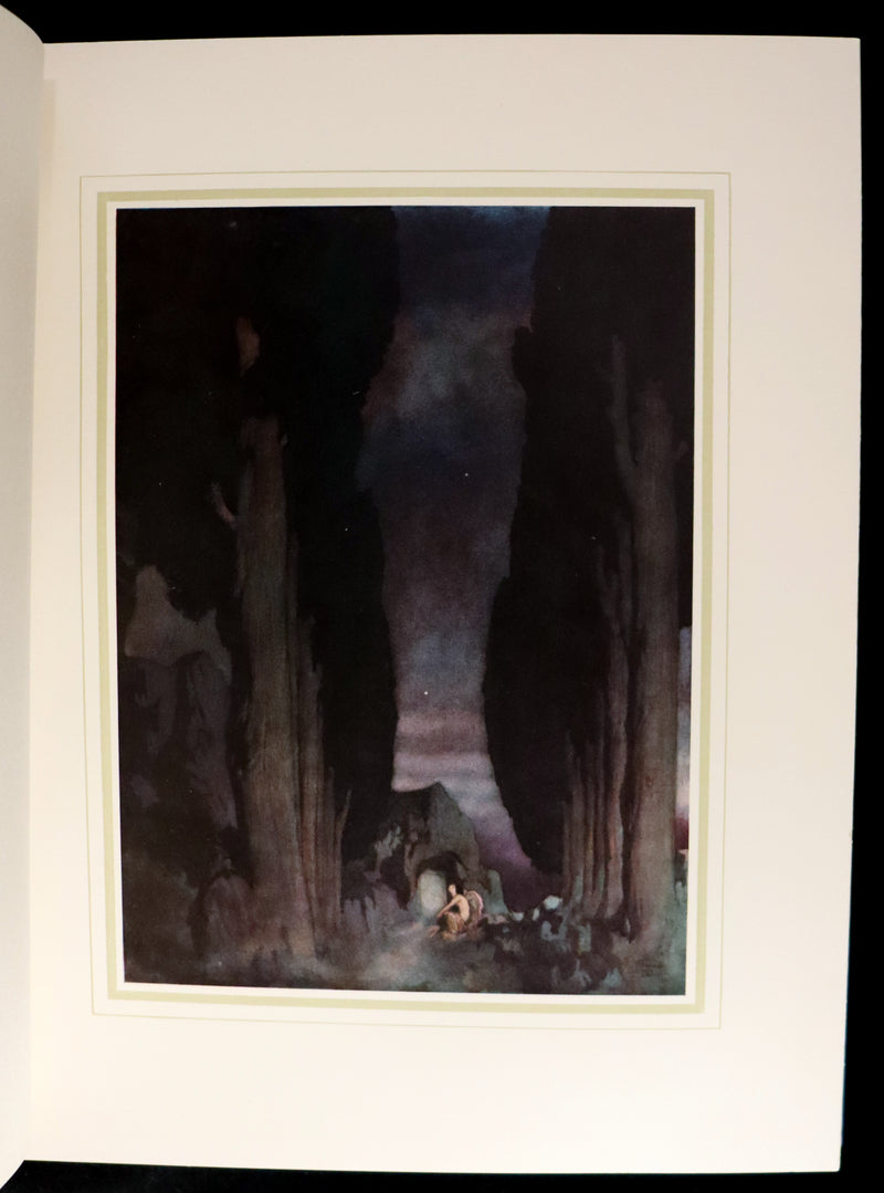 1910 First US Edition - The Poetical Works of Edgar Allan Poe Illustrated By Edmund Dulac.