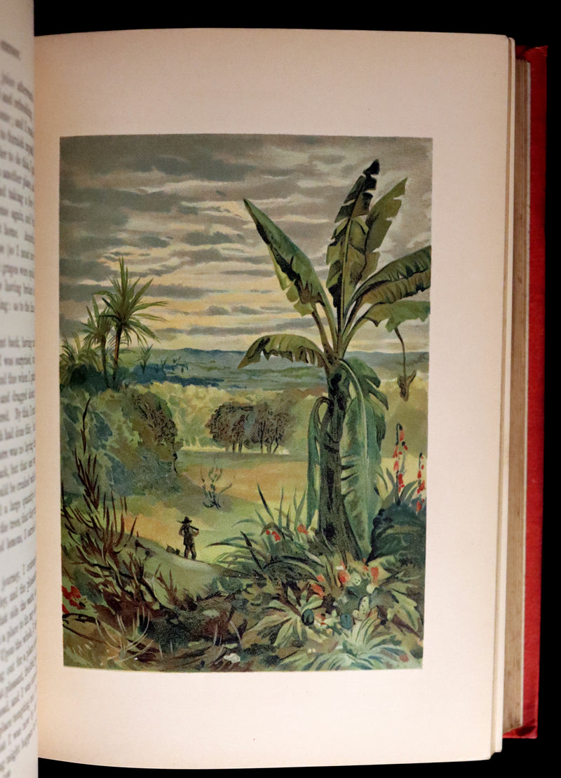 1895 Rare Book - THE LIFE and ADVENTURES OF ROBINSON CRUSOE Illustrated by J. D. Watson.