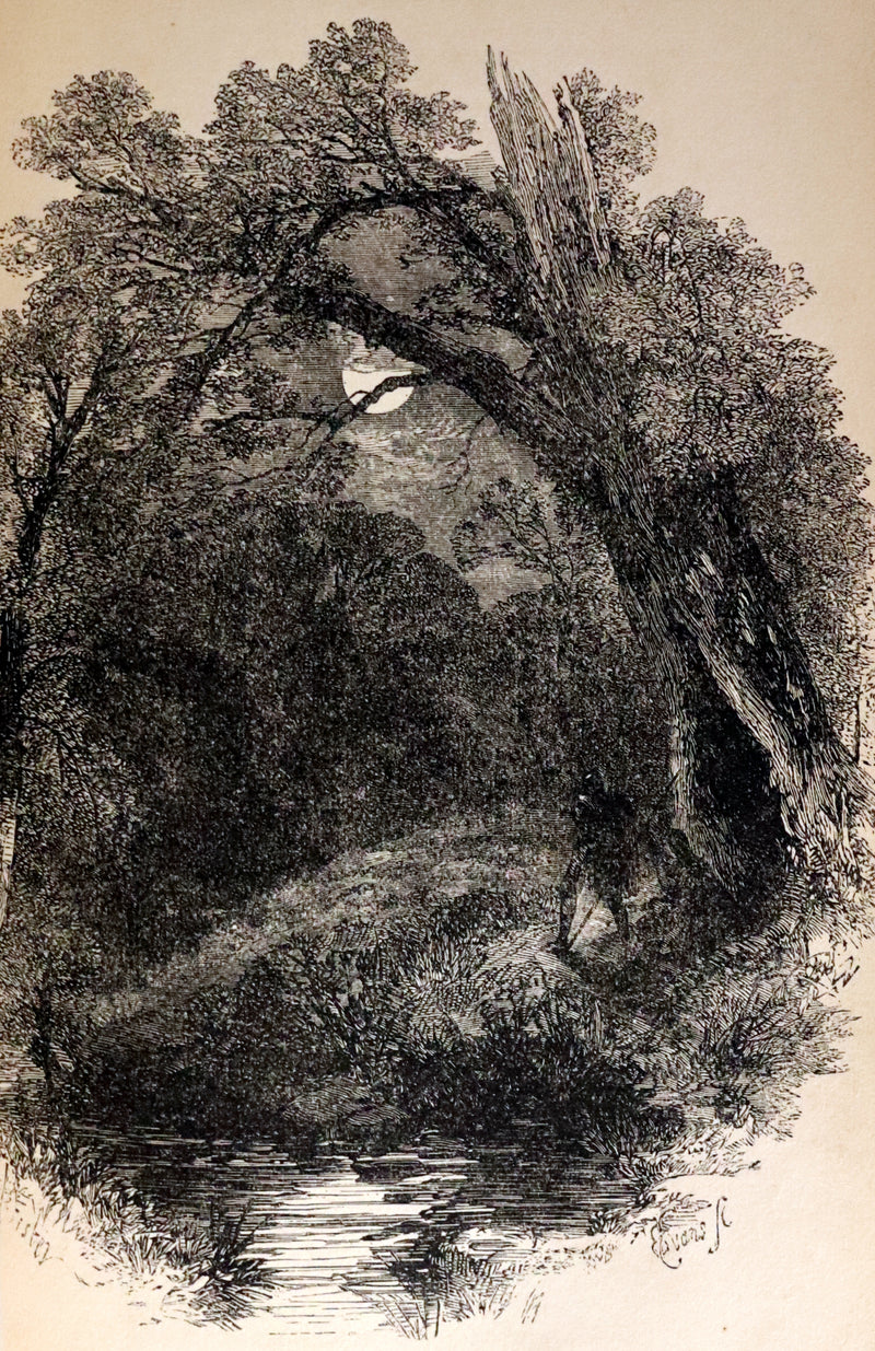 1860 Rare Book ~ The Poetical Works of Sir Walter Scott. Lady of the Lake. Illustrated.