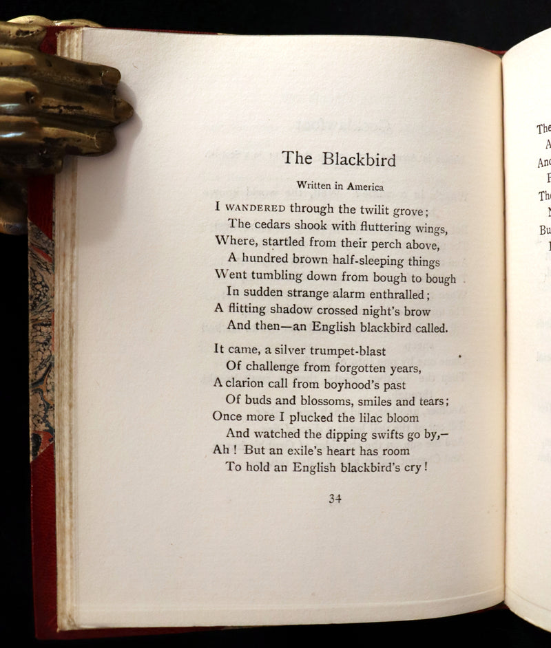 1907 Scarce First Edition bound by Ramage - RAINBOWS and WITCHES, fantastical poems by William Henry Ogilvie.