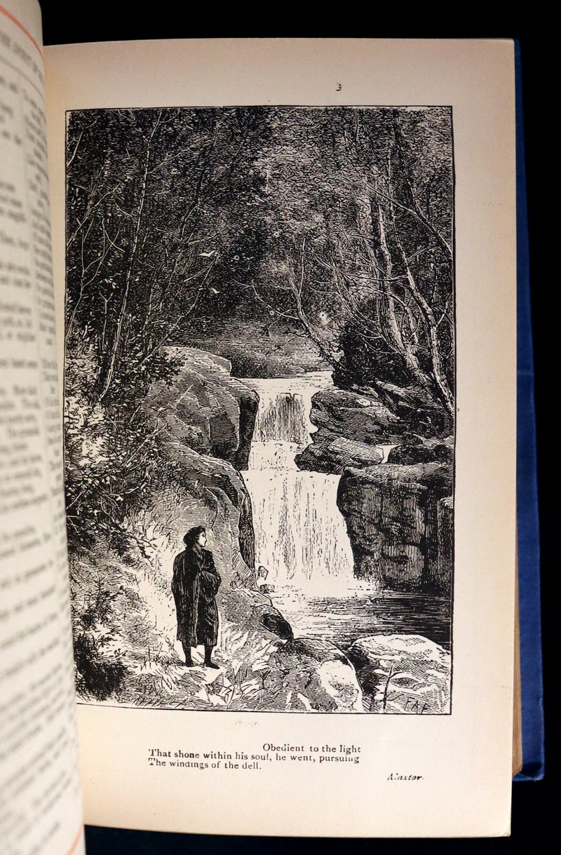 1885 Rare Victorian Book - Poetical Works of Percy Bysshe Shelley, English Romantic Poet.