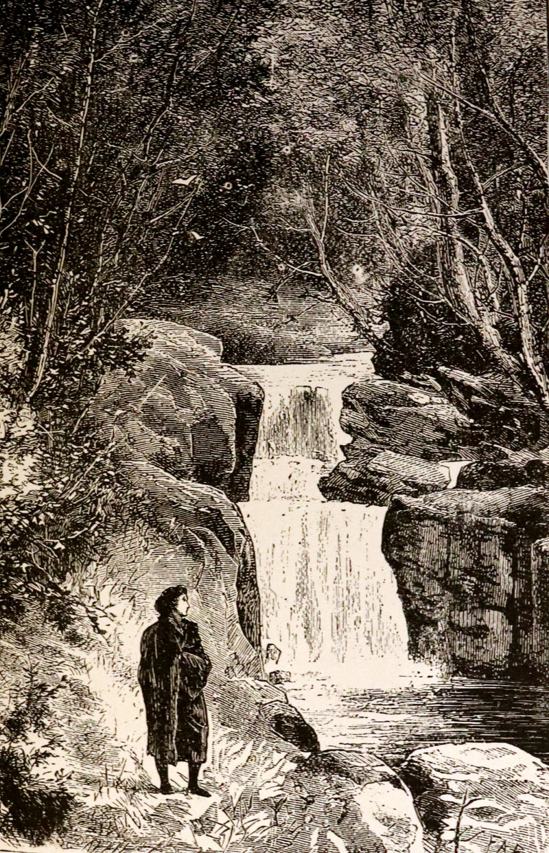 1885 Rare Victorian Book - Poetical Works of Percy Bysshe Shelley, English Romantic Poet.