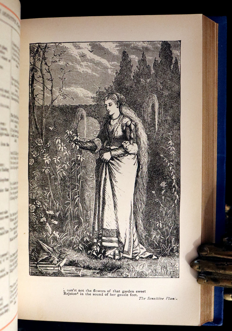 1885 Rare Victorian Book - Poetical Works of Percy Bysshe Shelley, English Romantic Poet.