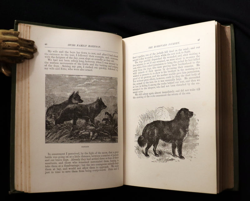 1891 Rare Victorian Book - The Swiss Family Robinson or, The Adventures of a Shipwrecked family on an Uninhabited Island Near new Guinea.
