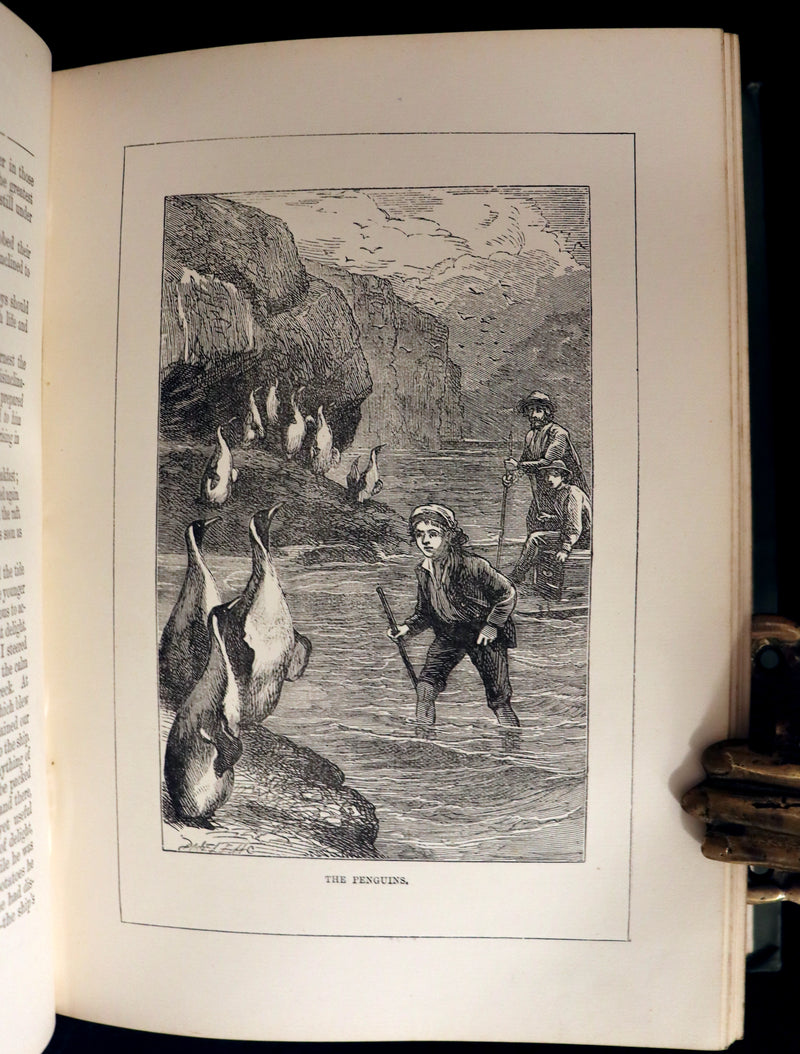 1891 Rare Victorian Book - The Swiss Family Robinson or, The Adventures of a Shipwrecked family on an Uninhabited Island Near new Guinea.