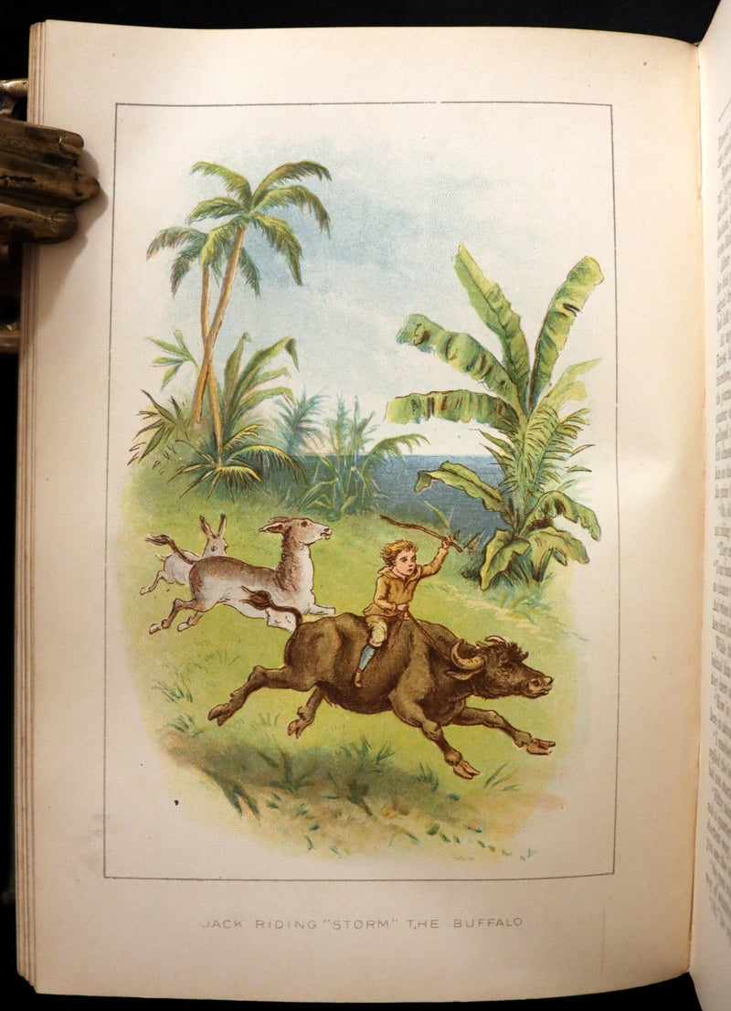 1891 Rare Victorian Book - The Swiss Family Robinson or, The Adventures of a Shipwrecked family on an Uninhabited Island Near new Guinea.