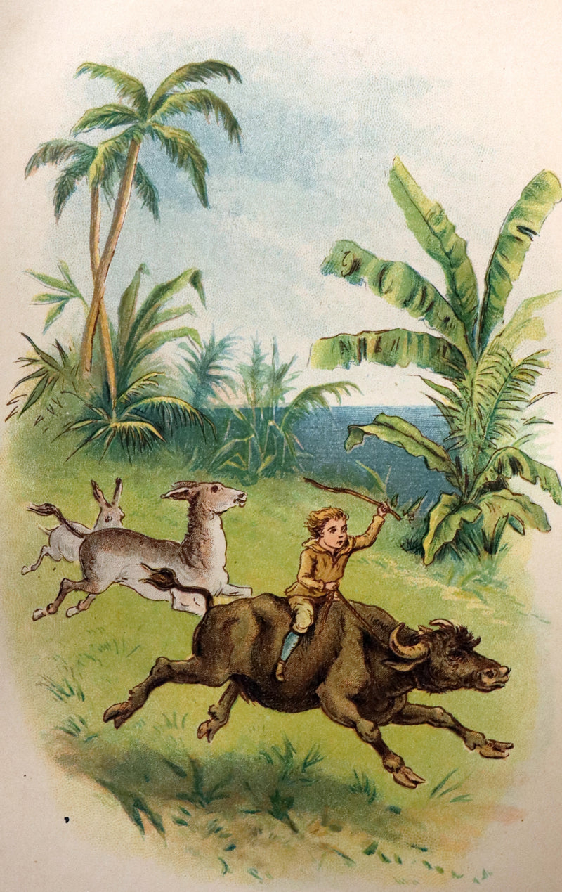 1891 Rare Victorian Book - The Swiss Family Robinson or, The Adventures of a Shipwrecked family on an Uninhabited Island Near new Guinea.