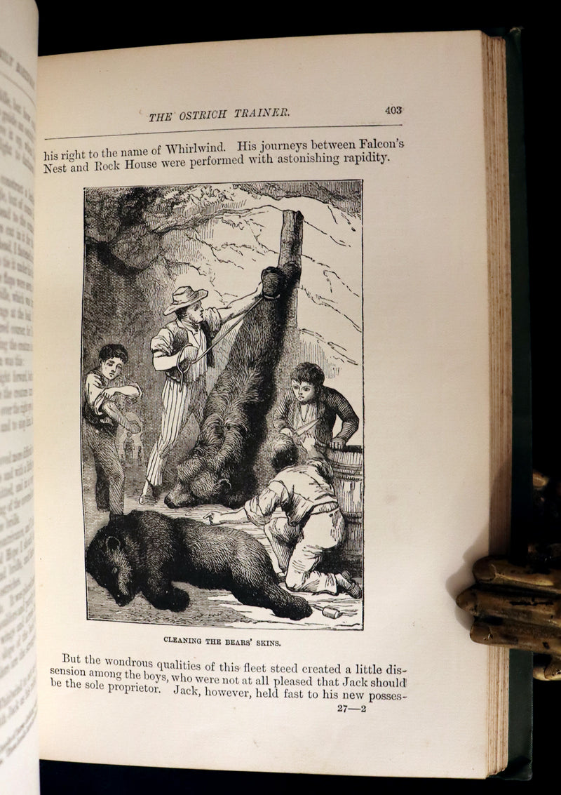 1891 Rare Victorian Book - The Swiss Family Robinson or, The Adventures of a Shipwrecked family on an Uninhabited Island Near new Guinea.