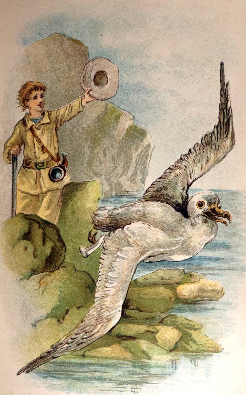 1891 Rare Victorian Book - The Swiss Family Robinson or, The Adventures of a Shipwrecked family on an Uninhabited Island Near new Guinea.