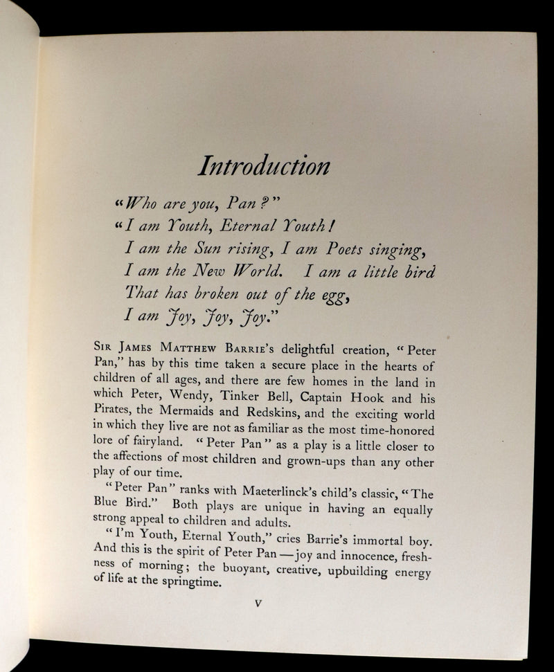 1916 Rare Book - Peter Pan, the Boy Who Would Never Grow Up to Be a Man illustrated by Alice B. Woodward.